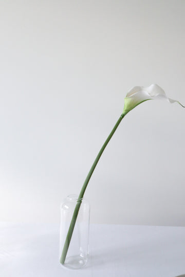The Editorial Calla Lily Bud Vase (set of 10)